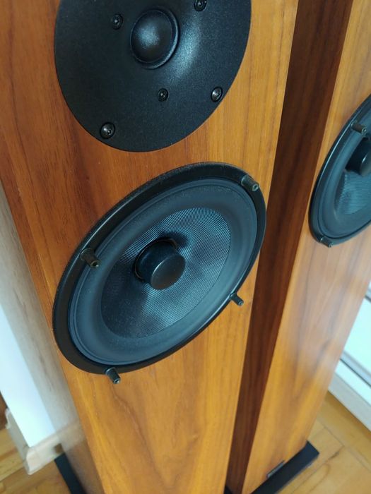 Kolumny podłogowe Audio Physic Classic 5 z certyfikatem kontroli jakości. Parowane.