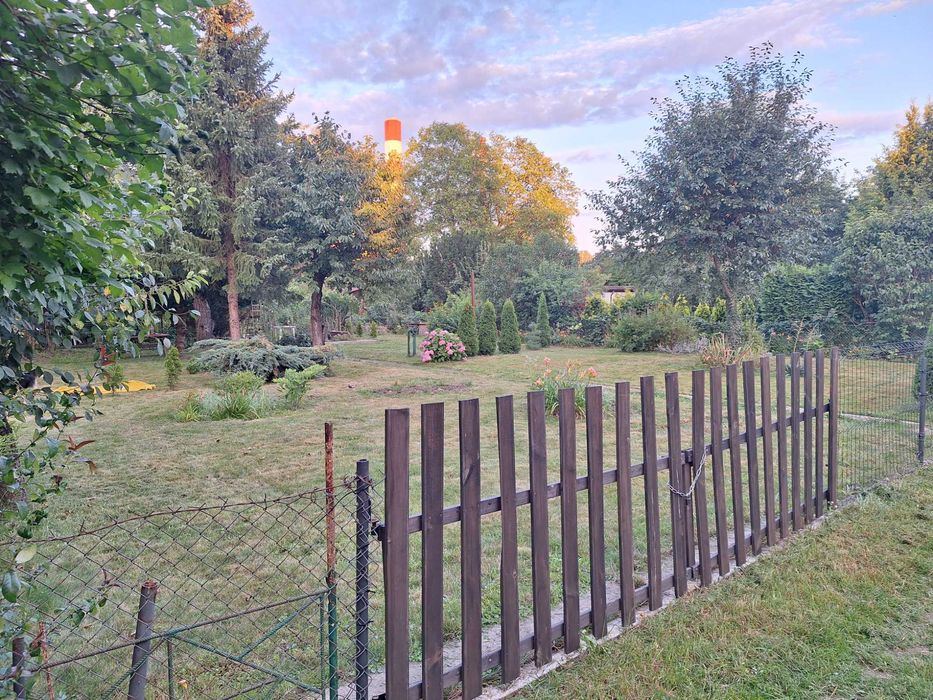 Działka ROD Augustówka 554m2