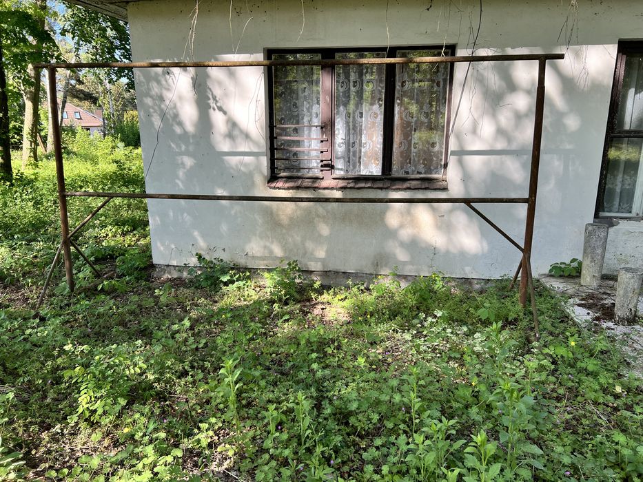 Duzy trzepak solidny