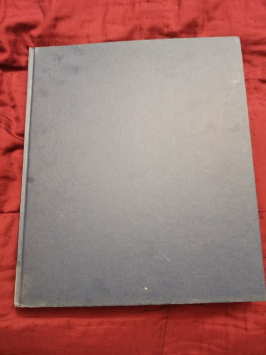 Gotyk. Architektura, rzeźba, malarstwo; red. R. Toman