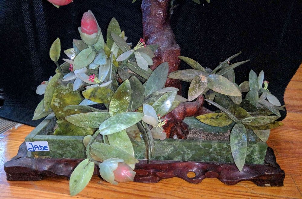 Bonsai Pessegueiro Jade