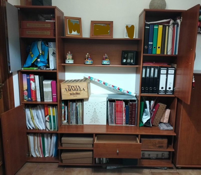 Conjunto dois armários