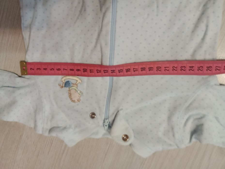 Pajacyk jasnoniebieski