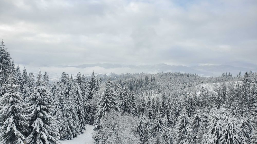 Сучасний готель СПА Садиба "Вілла Софія" з  БАСЕЙНОМ Карпати, Буковель