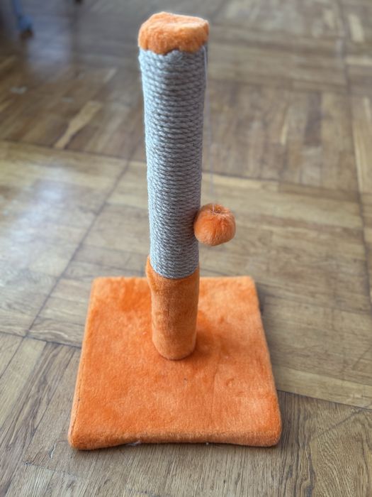 Котяча кігтеточка