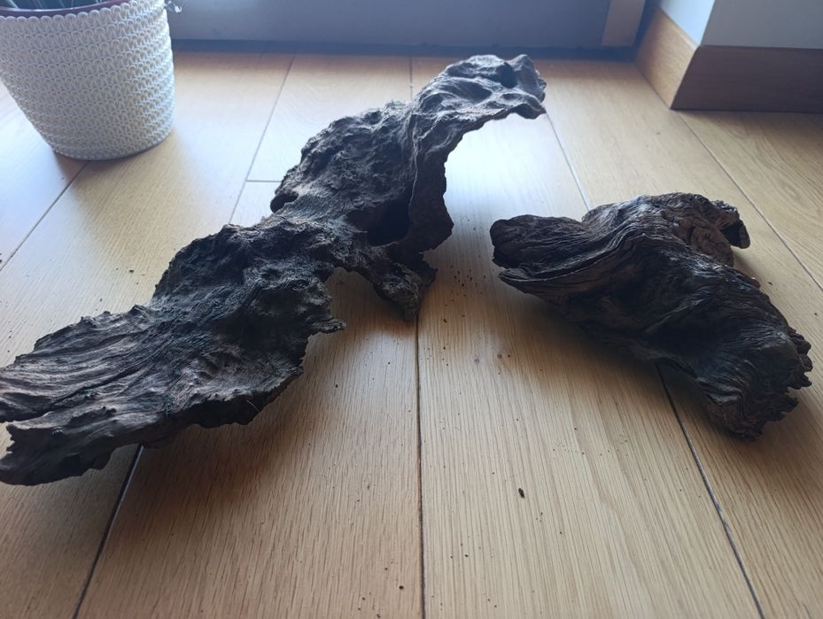 Korzenie do akwarium