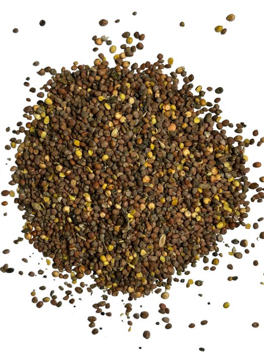 Rzodkiew oleista 25kg