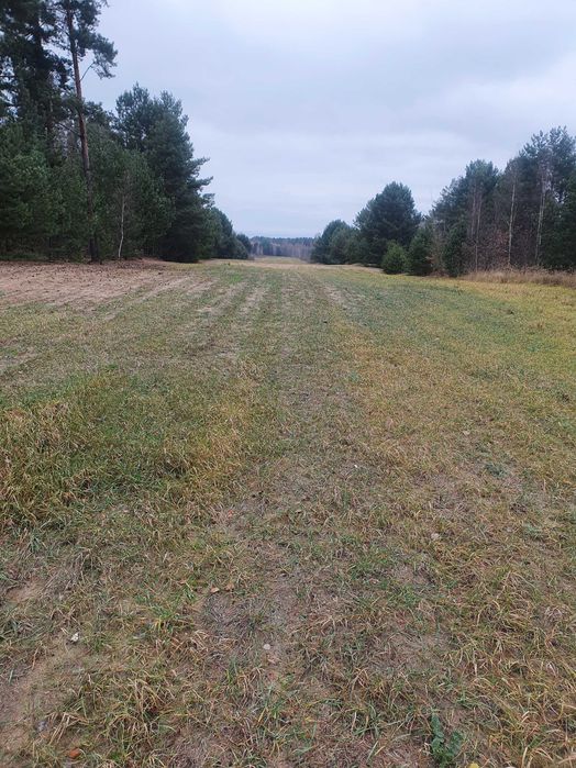 Sprzedam działkę rolną 1,54 ha w Jeżowie gm. Końskie woj. świętokrzyskie - Widok 4