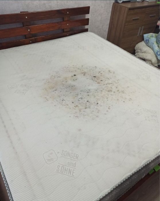 ХИМЧИСТКА ДИВАНА матраса ковра на дому. Все районы Одесса