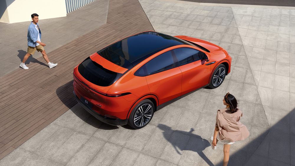 Zdjęcie w galerii numer 5