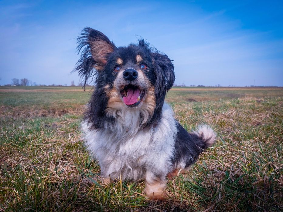 Naprawdę nikt ? PILNE