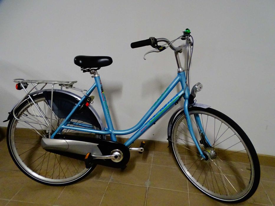 Rower Batavus Flash