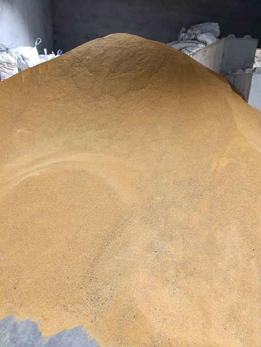 DDGS Kukurydziany sypki