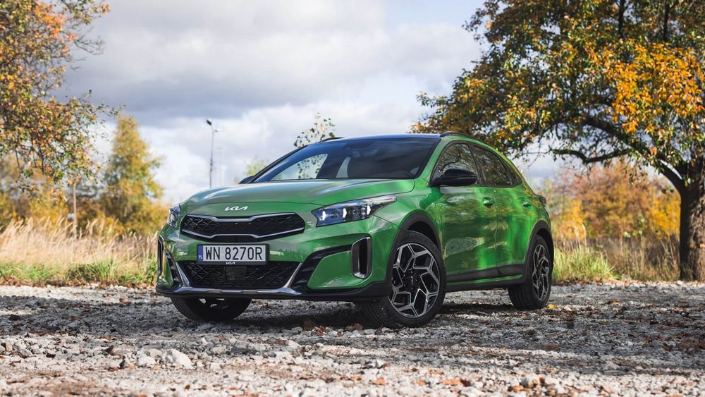 Zdjęcie w galerii numer 2