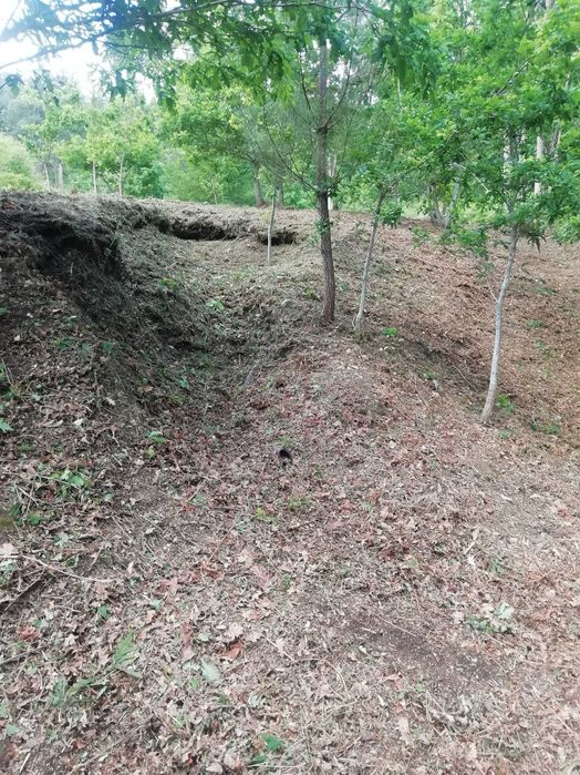 Limpeza de terrenos, matos jardins e outros afins