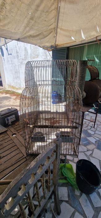 Gaiola pássaros média