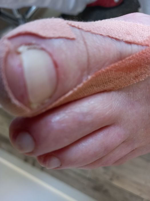 Mobilny Podolog na teranie Poznania i okolic