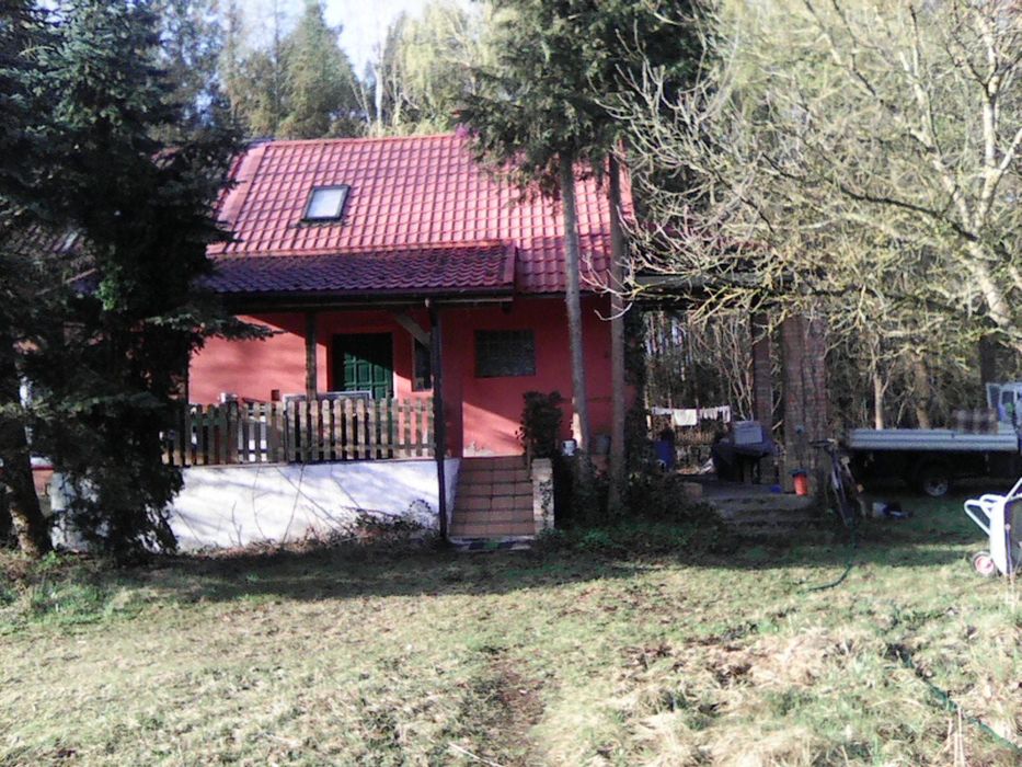 Dom mieszkalny we wsi Rybojady - Widok 3