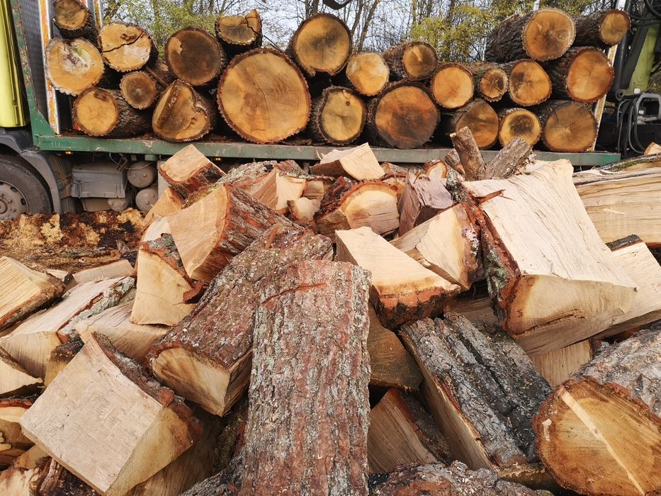 drewno kominkowe opałowe