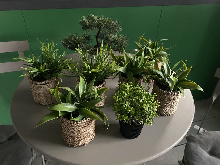 Настольная.  игра