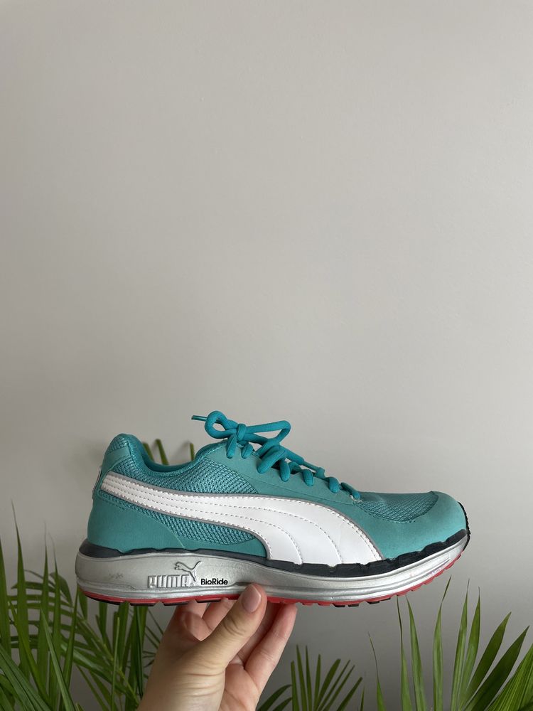 Puma bioride sale