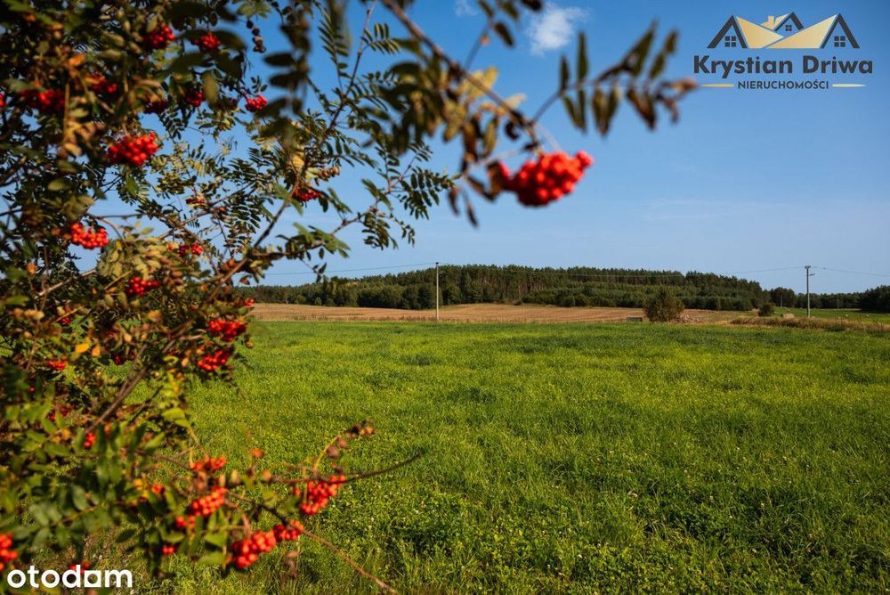 Działka budowlana w gm. Sulęczyno