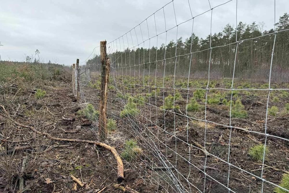Siatka leśna w rolce