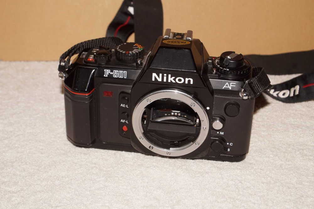 F4に迫る名機 Nikon F801s 35-70 & MF-21 MB-10 立ち位置はNikon Z8と同じ 高性能一眼 F-801 【京都の猫】 撮影レビュー
