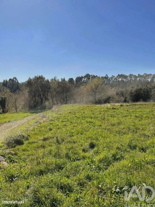 Terreno com potencial