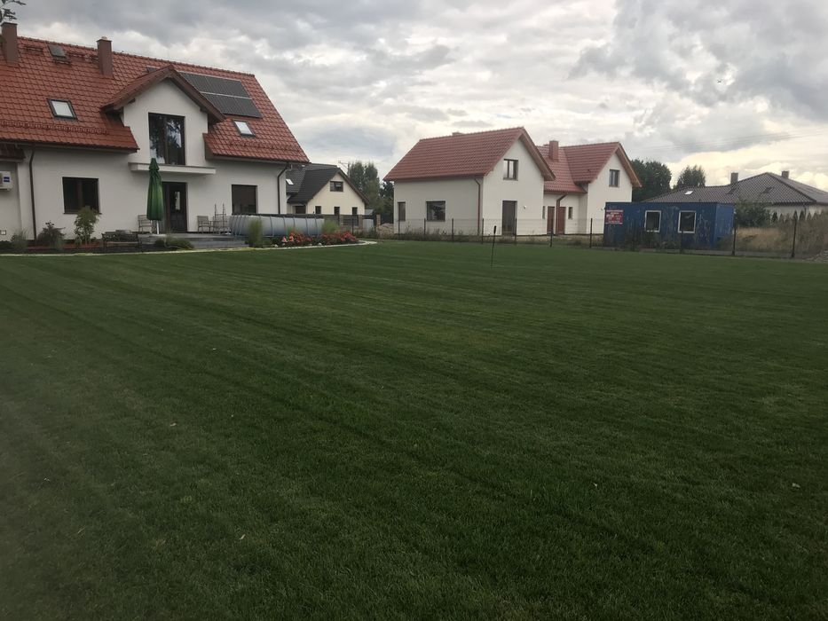 Zakładanie trawników, aeracja, dosiew trawy, wertykulacja