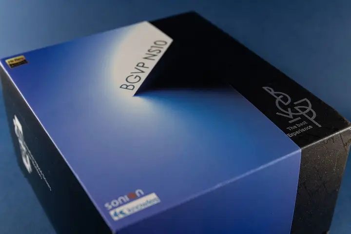 Гібридні навушники BGVP NS10, hi-fi, hi-res