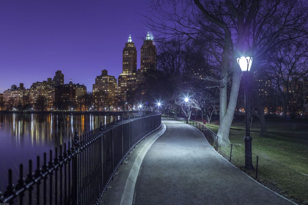 Plakat 60x40cm Park Centralny, Assaf Frank