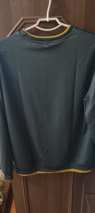 Чоловічий світшот, кофта