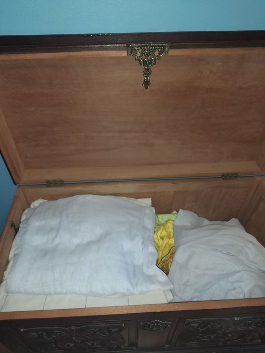 Vendo arca/mala/baú antigo