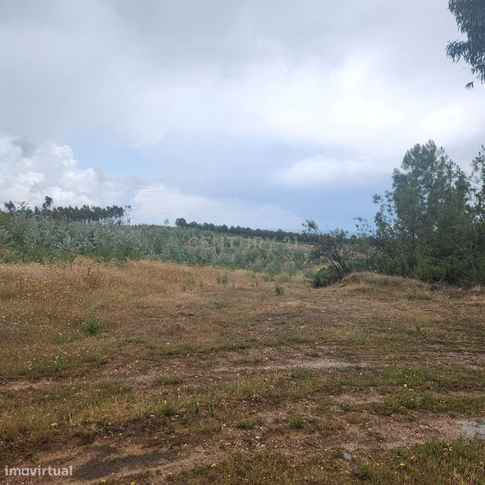 Terreno Florestal 3,4ha - Barroca da Ferranha, Perais, Vila Velha de R