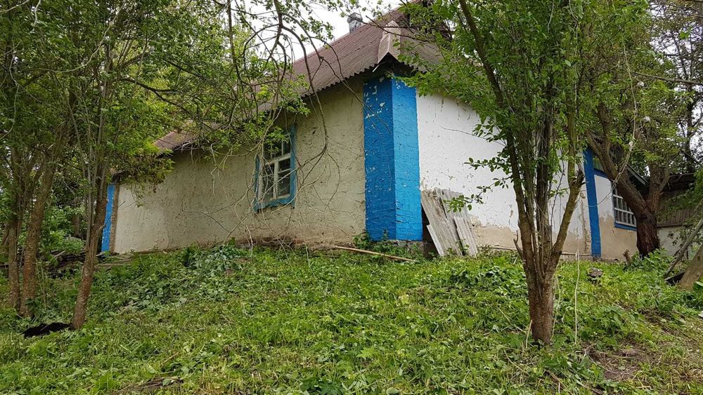 22,52 сотки землі з будинком та струмком | Власник | Триліси