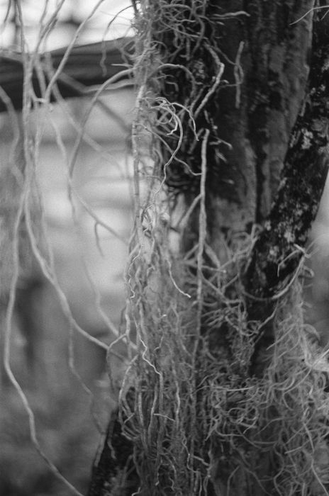 Чорно-біла фото робота