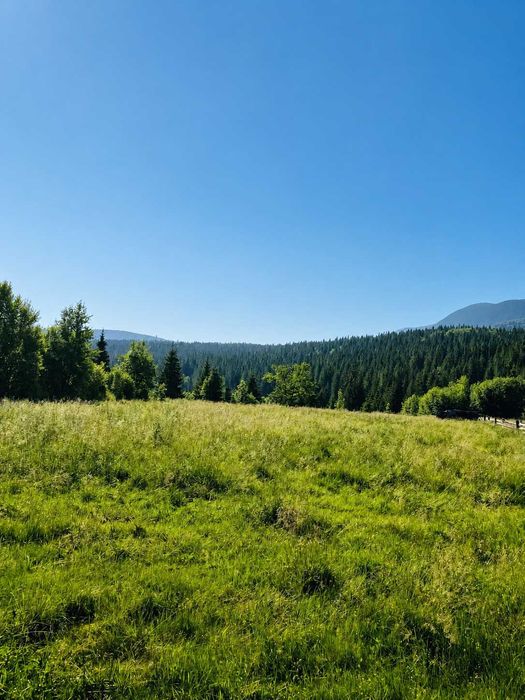 10 соток біля підніжжя Говерли | КПП Заросляк