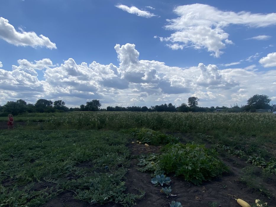 Продаж ділянки під забудову. Леськи. 25 соток