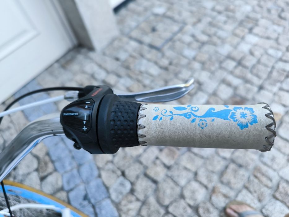 Bicicleta pasteleira Berg