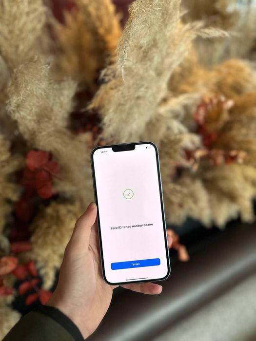 iPhone 14 Plus 256 GB