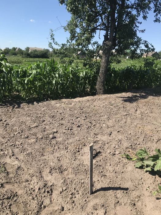 Земельна ділянка під забудова