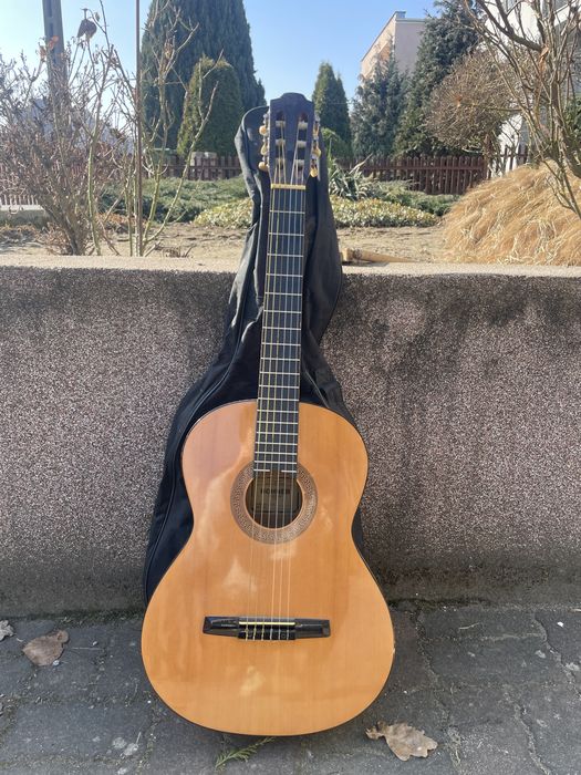 Gitara Hohner HC 06