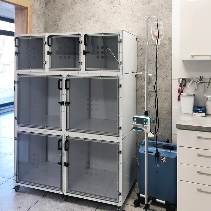 Klatki weterynaryjne modułowe – zestaw 7 boksów.  Producent