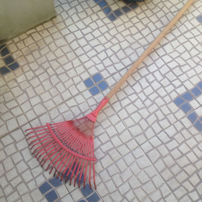 Ancinho de jardim apanha folhas como novo .