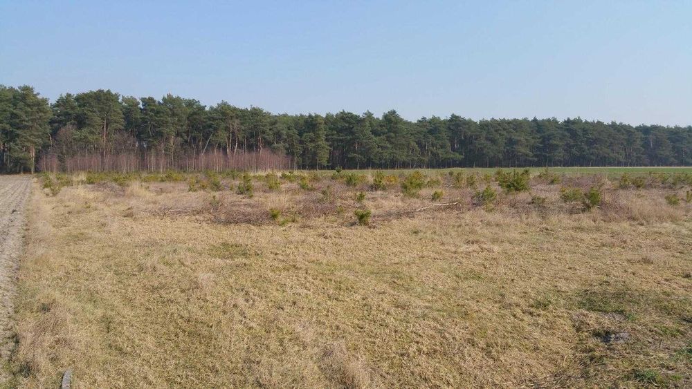 Działka przy lesie z WZ – 1518 m² – Powiercie - Widok 4