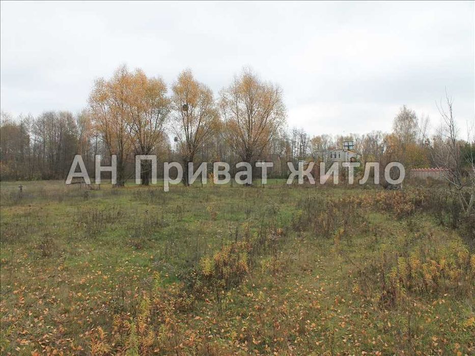 Чудова ділянка в Терешках біля старого русла