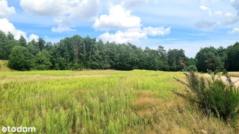 Działka Pod Lasem Z Pięknym Widokiem I Decyzją WZ