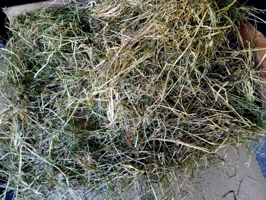 Siano dla królików 5kg