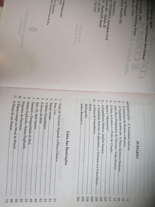 Consciência e Cosmos de Mena Kafatos e Thalia Kafatou